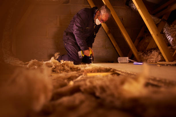 Best DIY Insulation Kits and Guidance in West Branch, IA